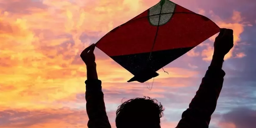Person holding kite silhouette