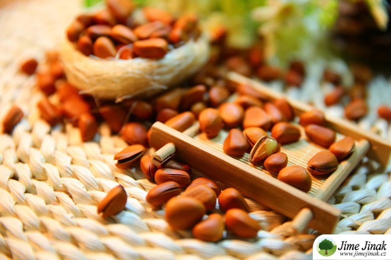 Pine nuts in basket and tray for article about poisonous nuts
