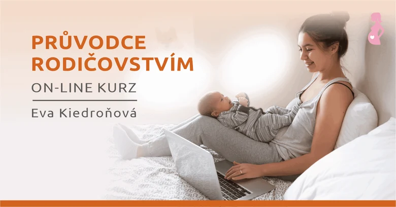 Mother with baby and laptop