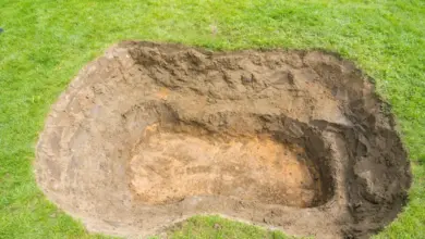Vykopaná díra pro venkovní koupací jezírko v trávníku.