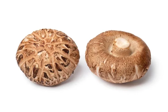 Dva klobouky hřibů Shiitake s viditelnými žlábkami a texturou.