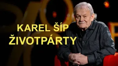 Karel šíp sitting in chair